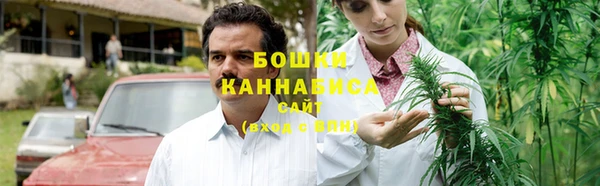гидропоника Горнозаводск