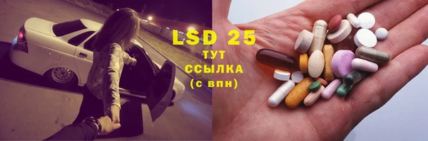 гидропоника Горнозаводск