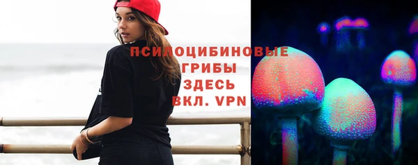 дурь Горно-Алтайск
