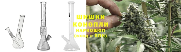 гидропоника Горнозаводск