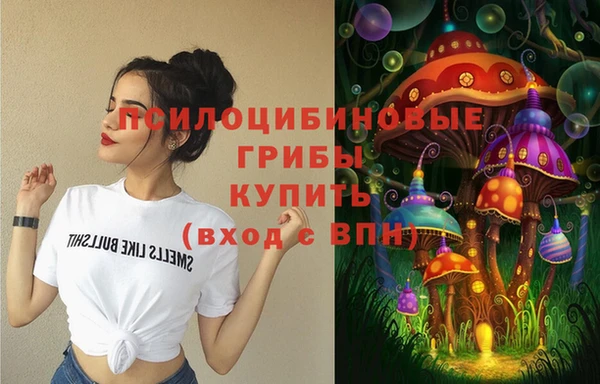 дурь Горно-Алтайск