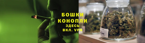 гидропоника Горнозаводск
