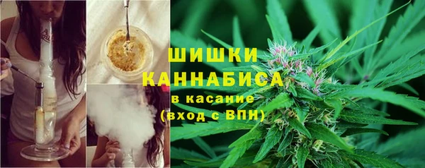 дурь Горно-Алтайск
